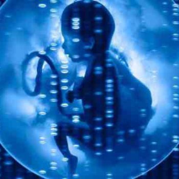 دستاورد محققان پژوهشگاه رویان در شناسایی ژن‌های کلیدی در ایجاد سلول‌های بنیادی جنینی