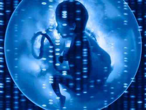 دستاورد محققان پژوهشگاه رویان در شناسایی ژن‌های کلیدی در ایجاد سلول‌های بنیادی جنینی