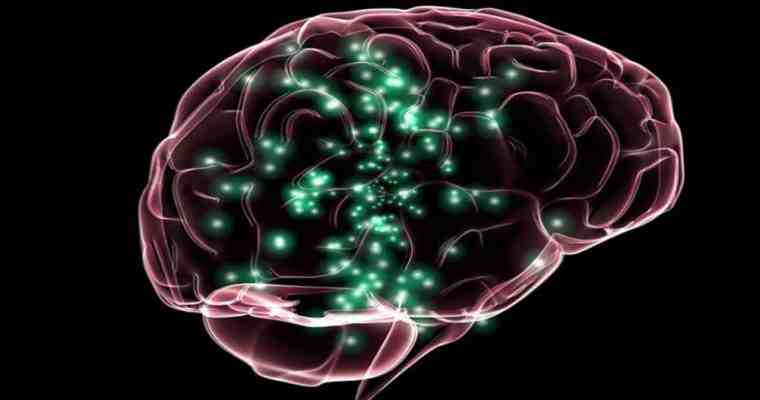 کشف یک نوع سلول بنیادی جدید برای ترمیم آسیب مغزی