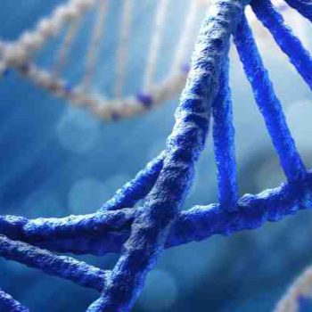 دانشمندان موفق به تولید DNA مصنوعی شدند