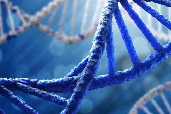 دانشمندان موفق به تولید DNA مصنوعی شدند