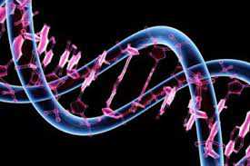 موفقیت دانشمندان چینی در بازنویسیDNA انسان