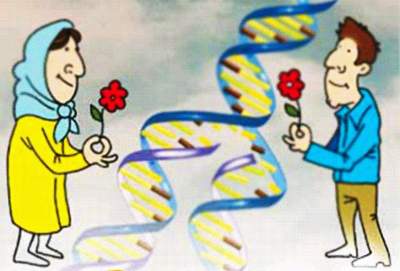 نقش کلیدی ژن ها در یک ازدواج موفق عاشقانه