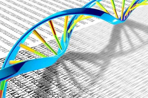نقش توالی‌یابی کل ژنوم در درمان شخصی سرطان