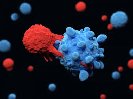 شمارش سلول‌های سفید خون شواهدی برای درمان کووید-۱۹ به دست می‌دهد